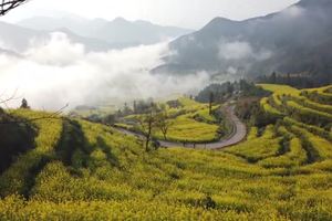 婺源江岭被称为天上人间，拍摄于2018年三月