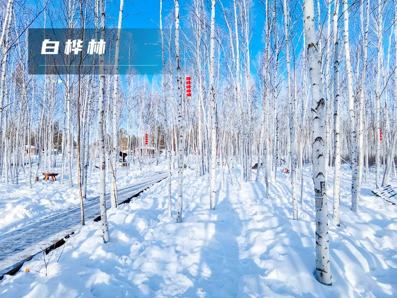 1671028443882913.jpg ★印象细图G2.jpg