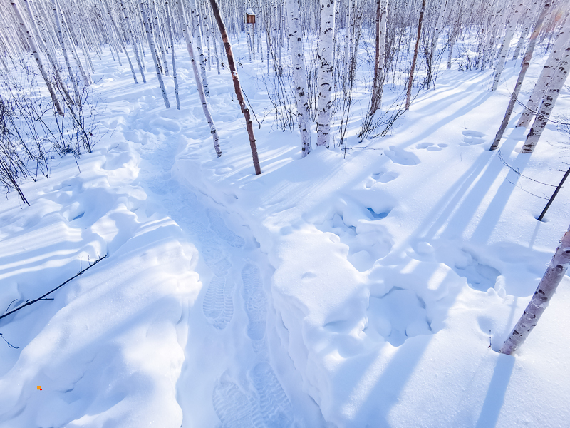 1671028681223949.jpg Oc5StWTr_FnF9.jpg