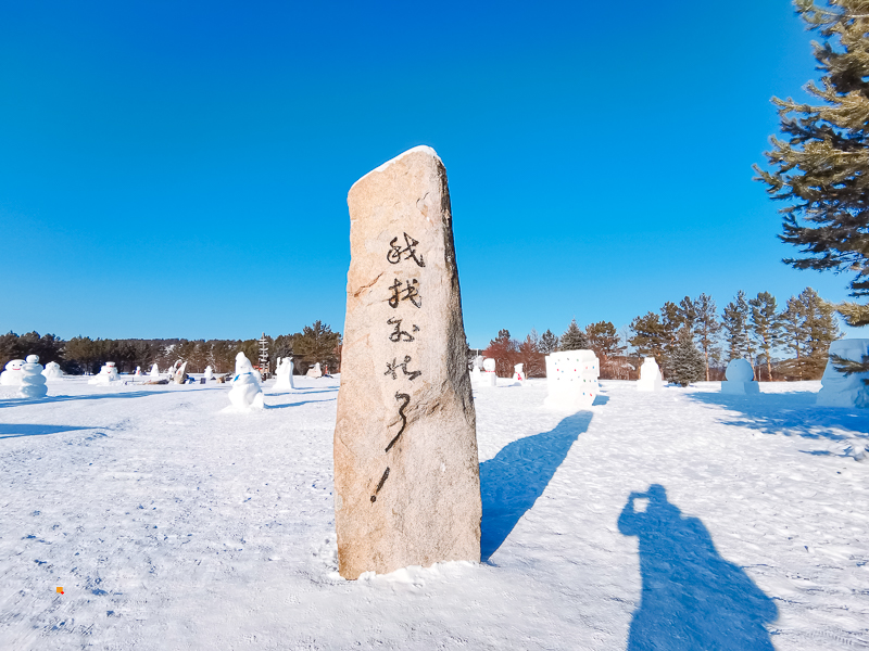 1671028895931296.jpg yOgMzk4p_zDcm.jpg