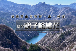 【清明 | 鹞子峪】1天活动【春花·水·长城の鹞子峪-撞道口环线10公里<初级>】