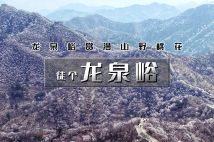 【清明 | 龙泉峪桃花】1日活动【万顷长城花海の大云峡谷】龙泉峪8公里徒步穿越<初级>