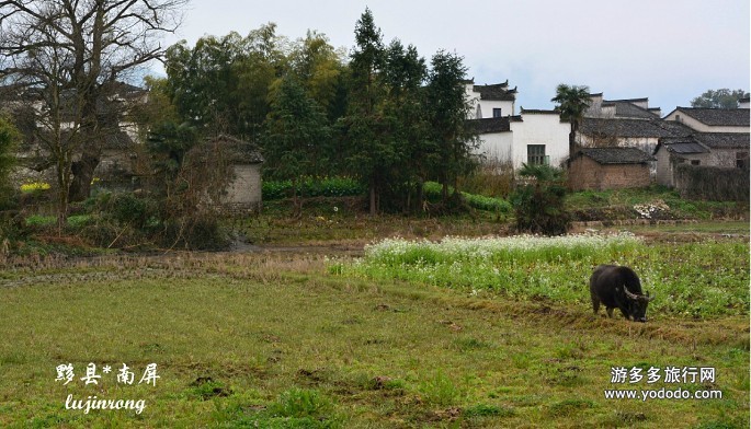 查看照片详细信息 游多多旅行网 - 旅游照片