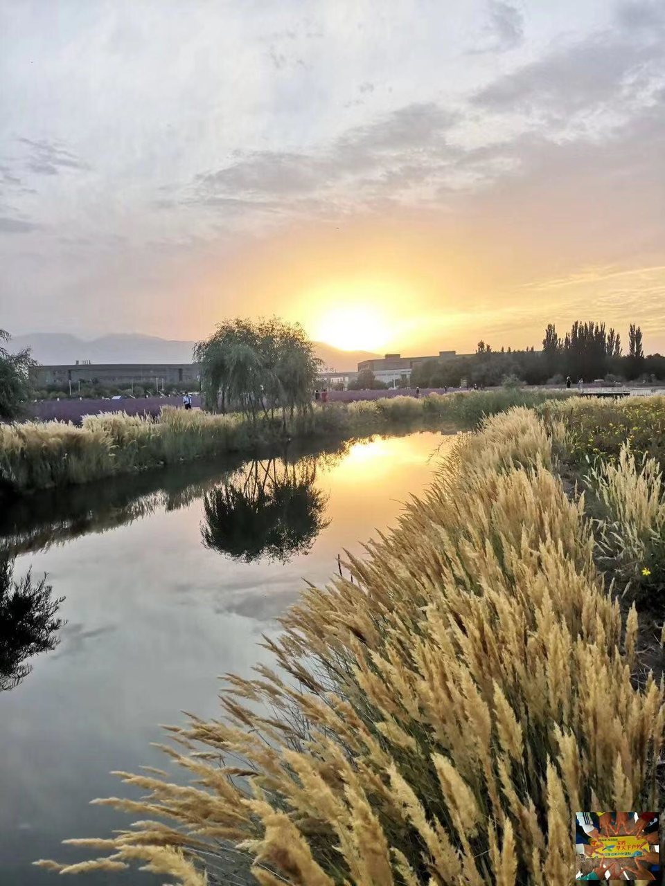 93964b2cf125c1a36cf389fdb6feaca