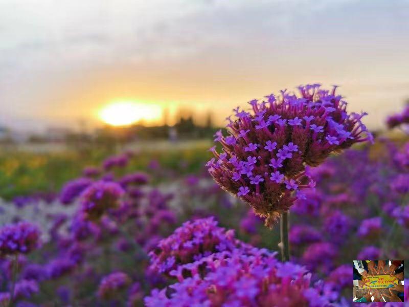 b979f642129f5cec5f89d21caf35b56