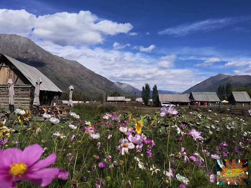 0c86b5fe7f84731dfa5962c179478bb