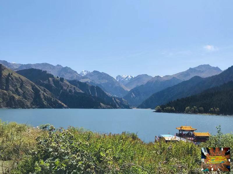 03ce8e24462f4f6079a8c9fe919ccc9