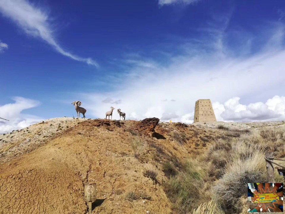 3c12c407d723f18198c142521f30dc5