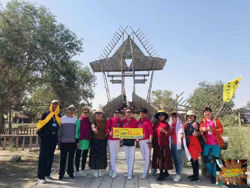 08bac56a691d02efef9647997651965