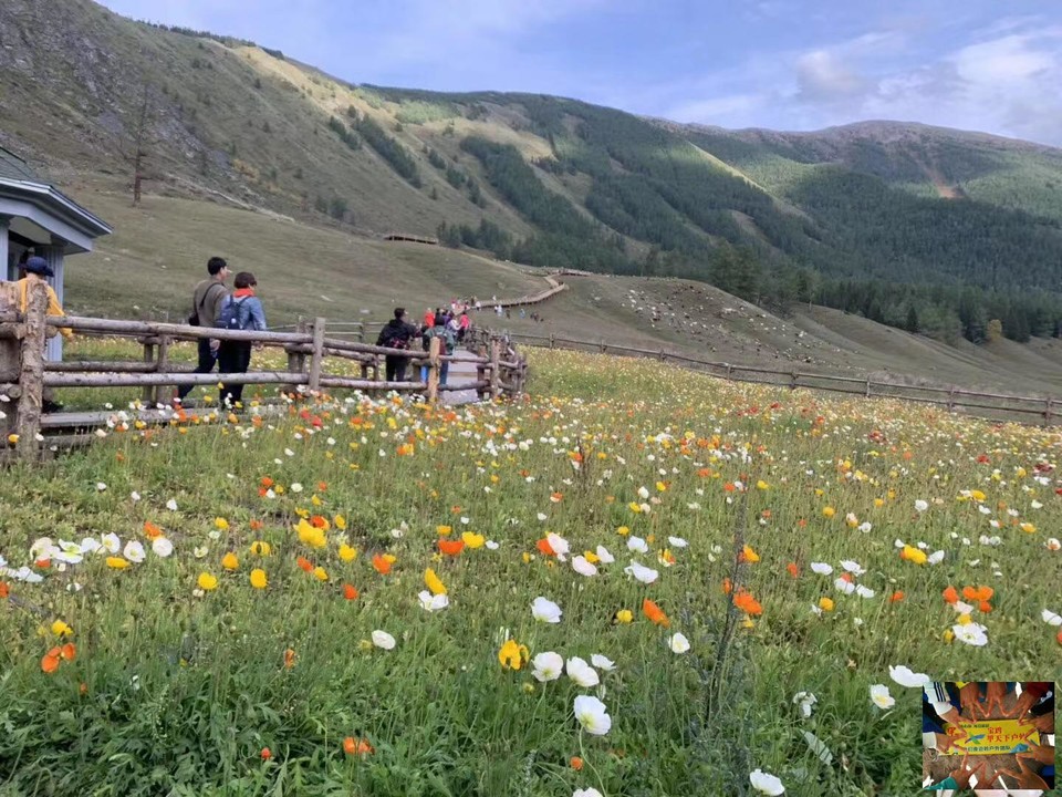 5f651d1497486a3c012bbd5b65fb5e5