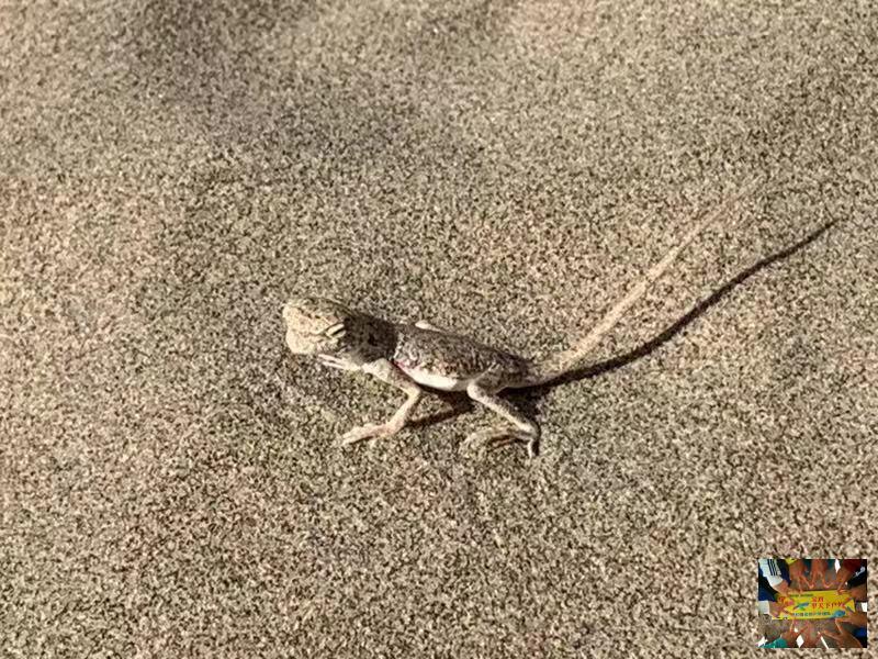 8b79858947d3ff1f327c5781e8a9405