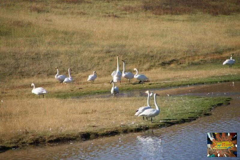 18c46aaa7813d29fff320c9f787b266