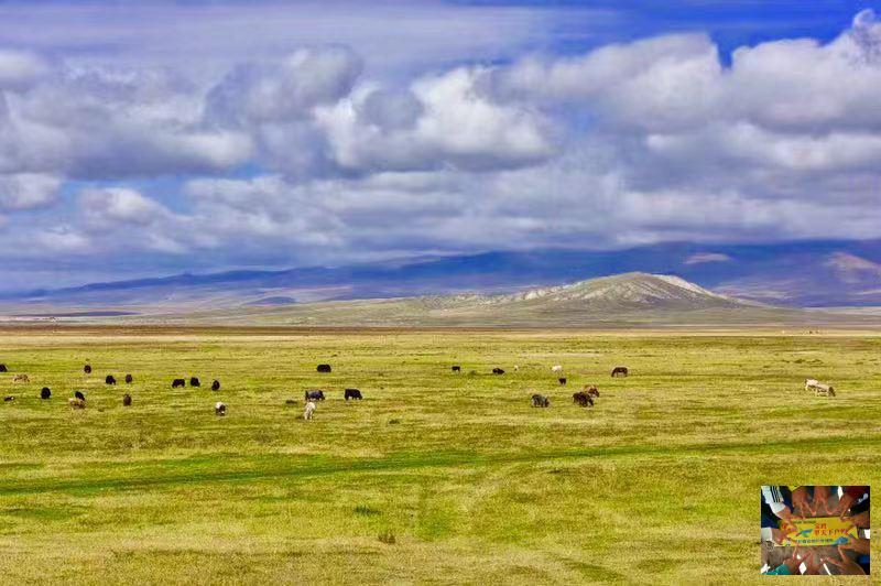 67f2be24640129f54c3a19d0df67d21