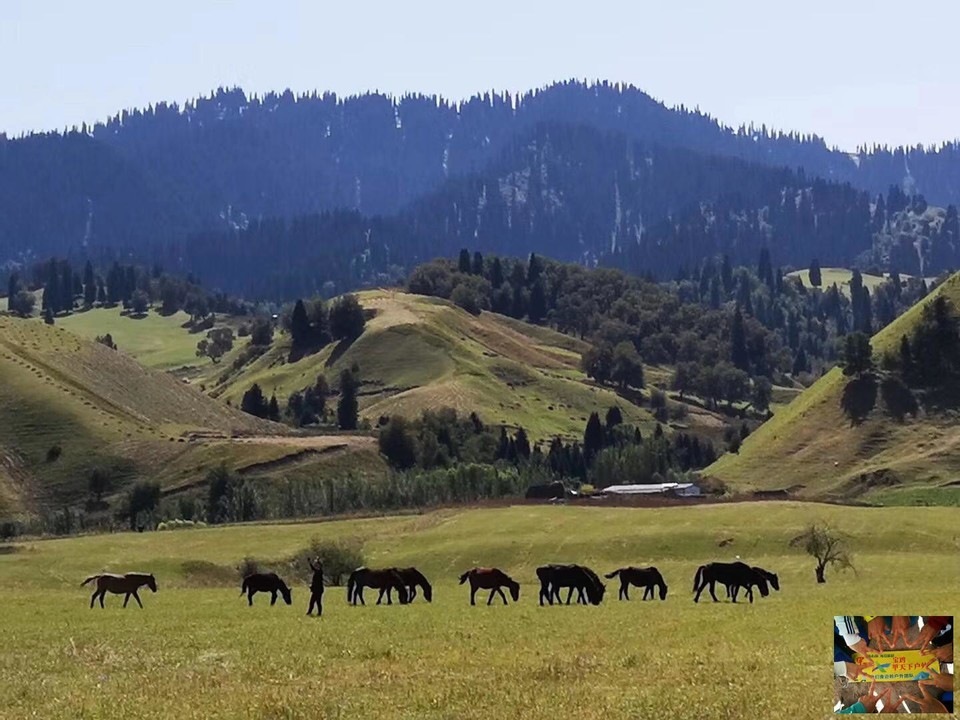 13d65625fad237a15d7fb41d0f5995f