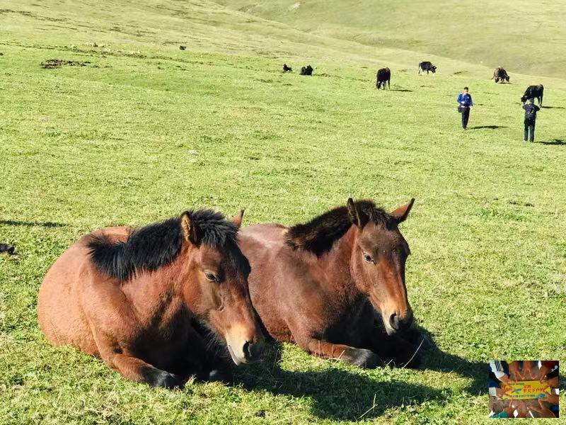 0218a9300f5b2a36975d33bfeed2cbf