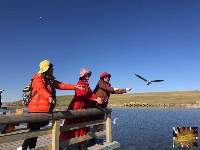 77589e3fa12d199cbfb5dddad9b1bc8