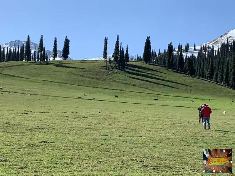 9319b85e1865933eb5b533b66c8407d