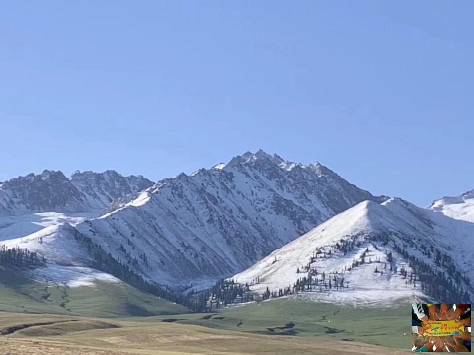 a1fec4f86794adaa0e09a799a20e7df