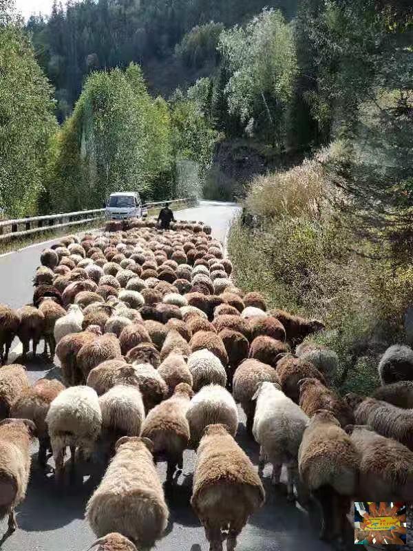 571229608dfe741b2da19927978d9ad