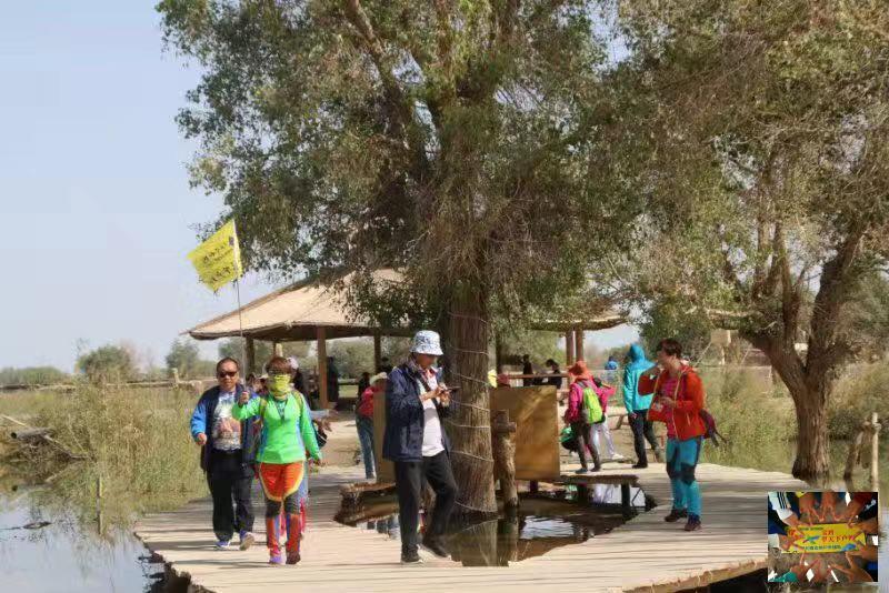 a5f5825a4779f26145f0aa1eb74d0b6