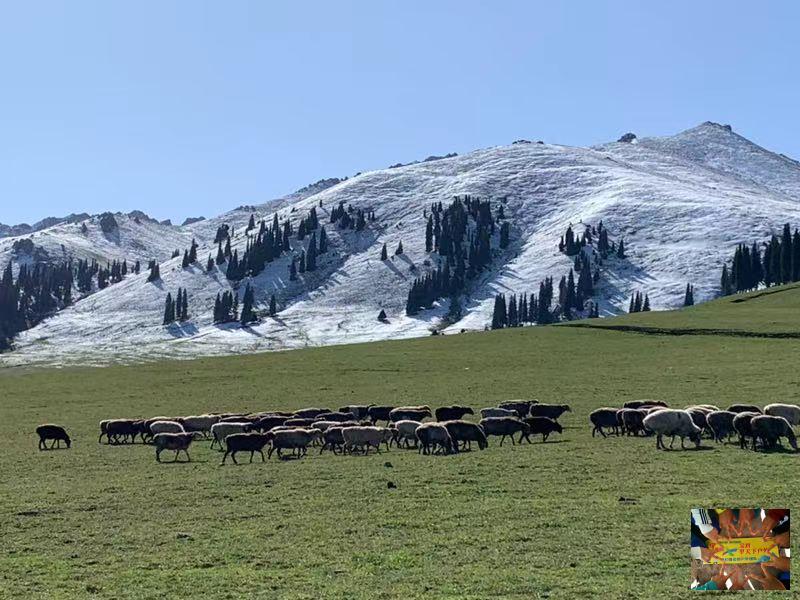 bf302e68f3510247239f36e57c53292