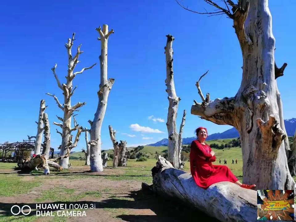 b3d459aba9309ab1238cec38975b7d3