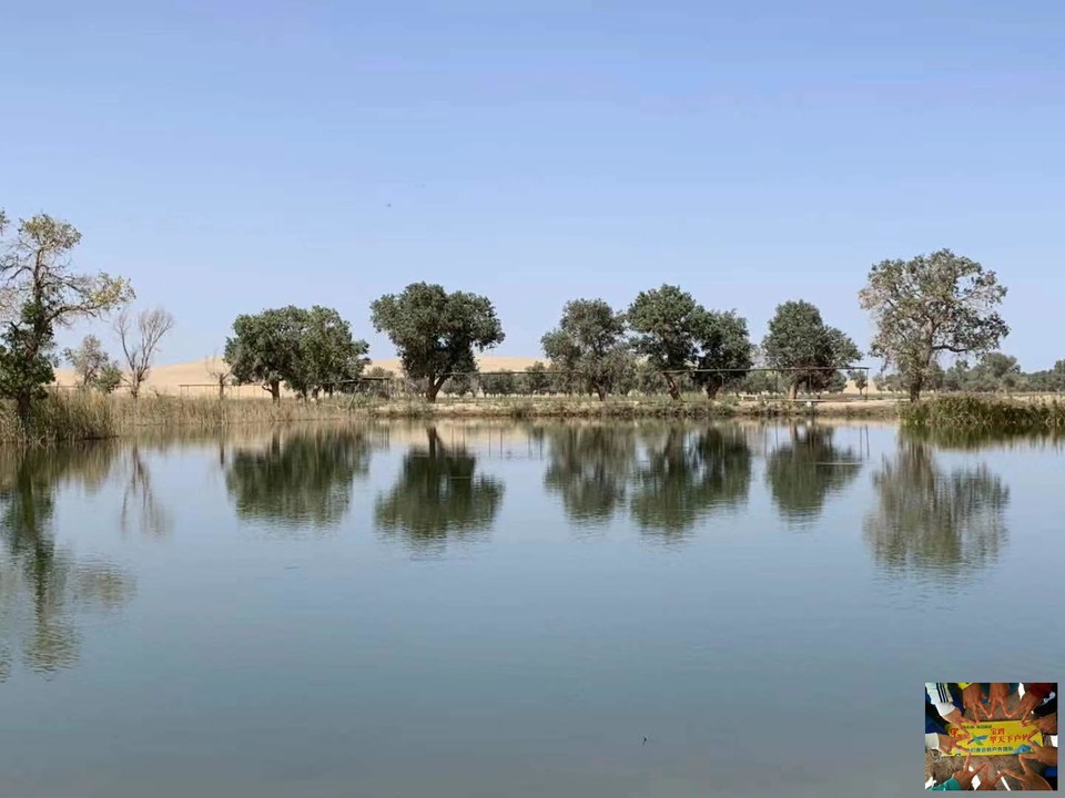 f19a1d6c17a64dd0d9cfdf162511796