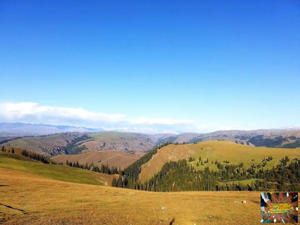 48cb24483de08a9a41c530d8566a7c1