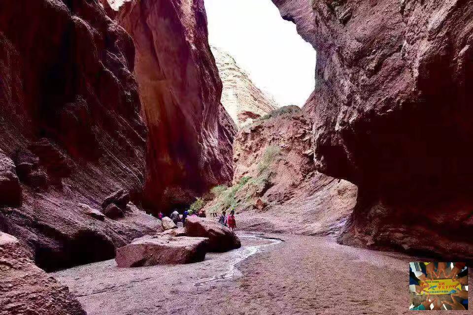 1a54d7d387591cd401c4387e94214f8