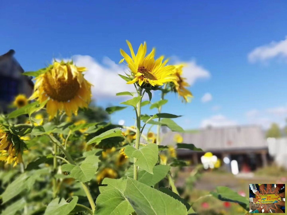 62e3efb8af5b19e60abf5ff7c4cc575