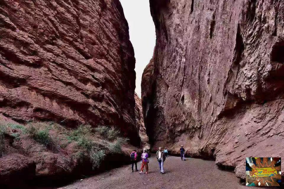 9344032d81489d3828c3bae32a24c39