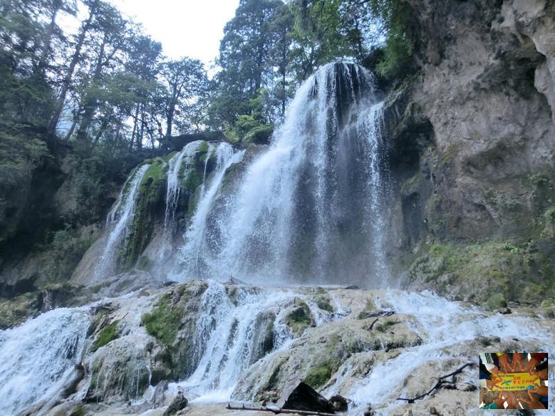 0d2d65bacb33e299a6330ea824782a4