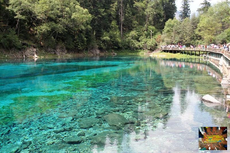 2c741e52e488a92062960e61ea4fe2a