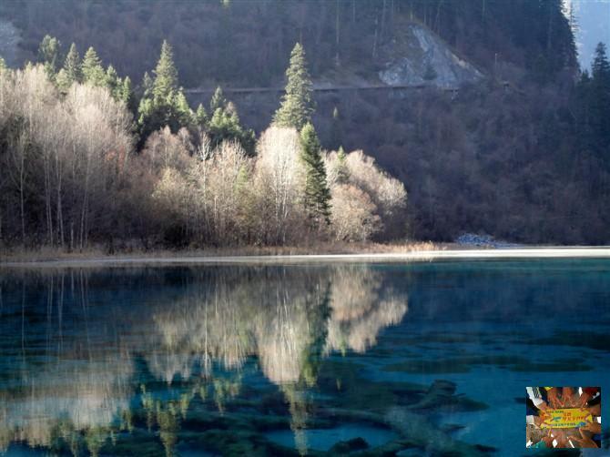 3b1a2e19b0947c83a0732d9f4b5d514