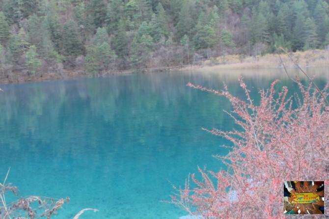 3b3d99791ff9a34d96b10e7363d199d