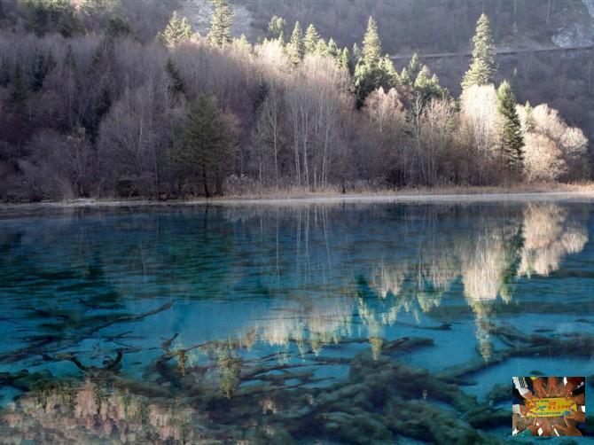 4e91669d7f9d7cf3ac5f0fc052a0fa3