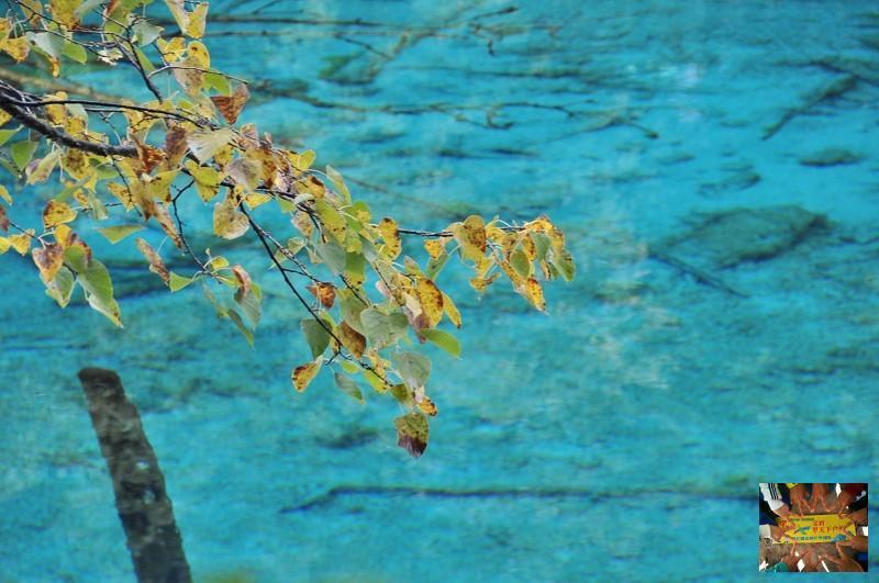 5ad86c756d489889cf7c28e1576026c