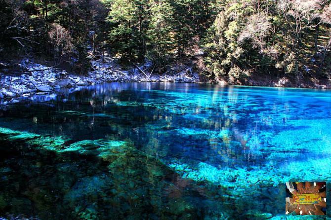 14a3cf896b8c60fe6259ad359972156