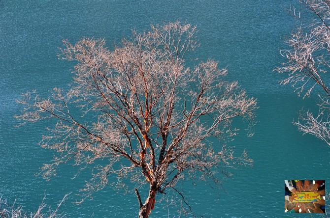 019bc73ec220c3a7209df72ff9c5cd4