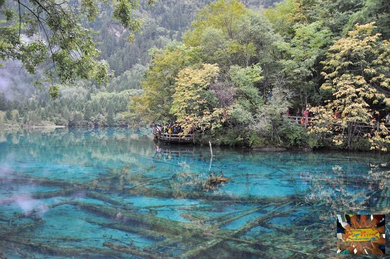 019da9c26248c3d1fdb079703359c17