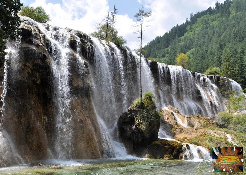 35c312e972e636b8f22db4fbf8e4fab