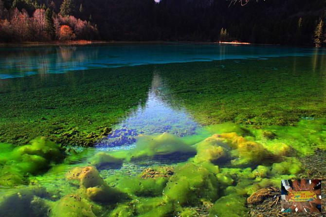 040b85fc501c824a37568fa72e56ce4