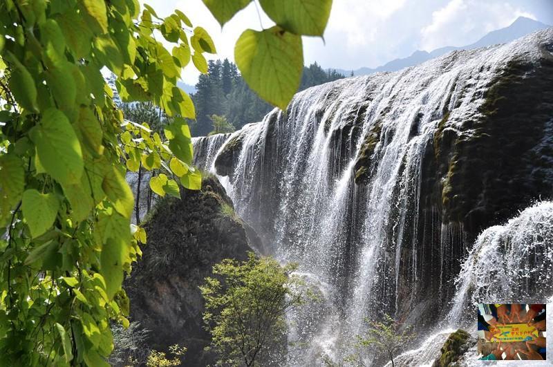 48e347e9e61778399822c0fdc4557f6