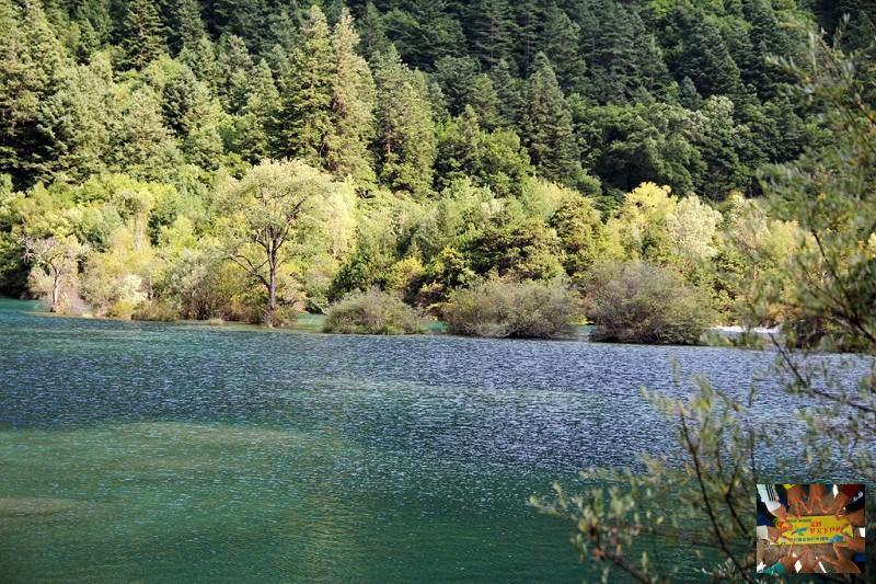 051ad970d7d0acba19bad06c6b7c8dc