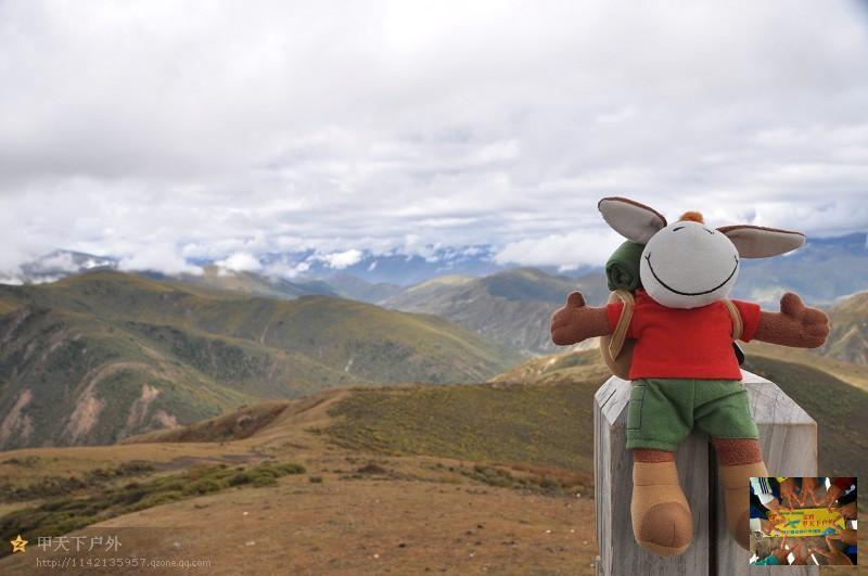 247fe14f8216fc332947f5b9b6cc4c8