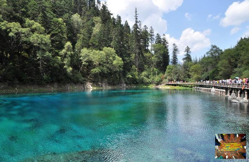 398a16c7db3cd1a06ce4e6ec11a945c