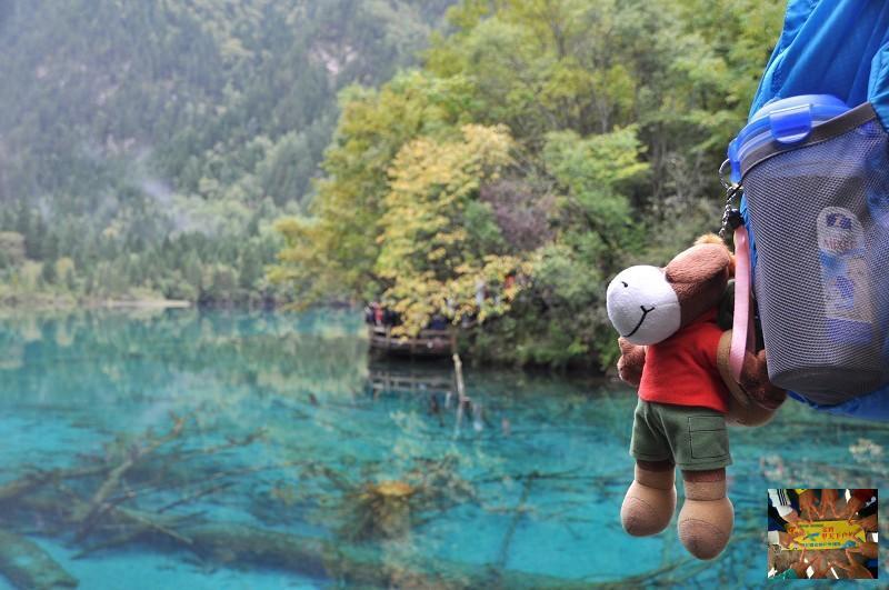 738d59da28ae573fbc4f4ae1e22b808