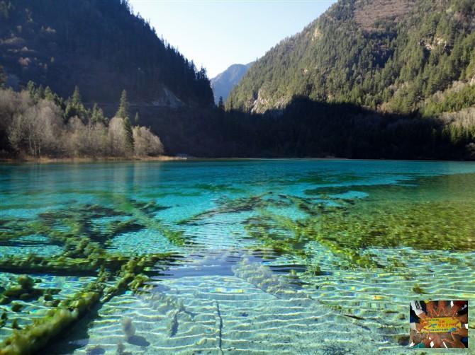 926d9f9e92ab69a8d773fa32b0a99b3