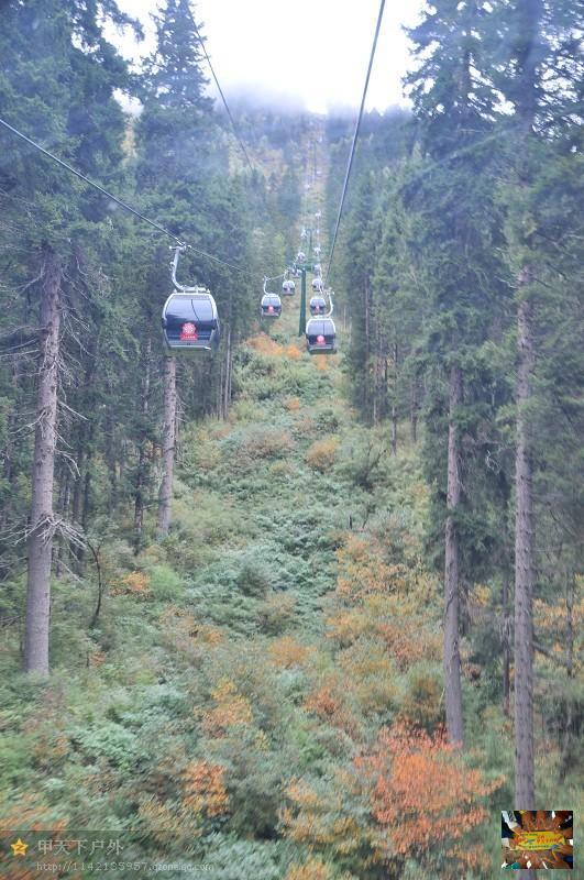 3250a3e381c38de9a62d14a8108d58b