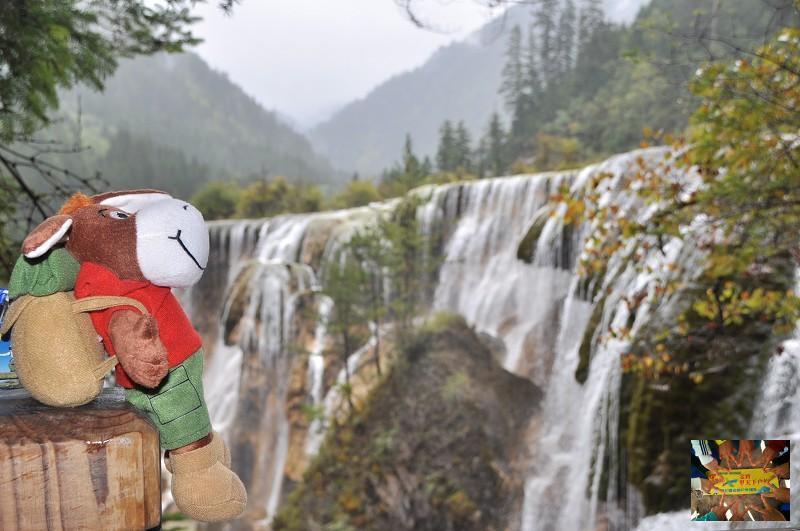 4887a2b420df896a2b4d98639788985